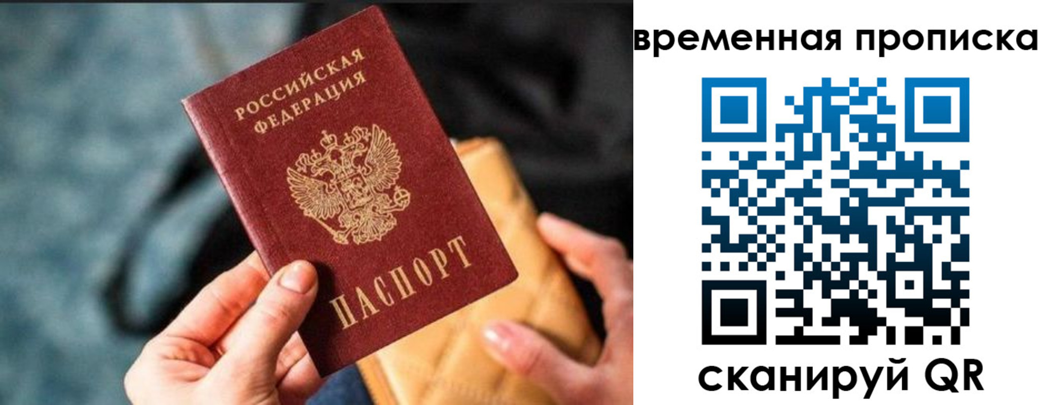 прописка регистрация в Щёкино